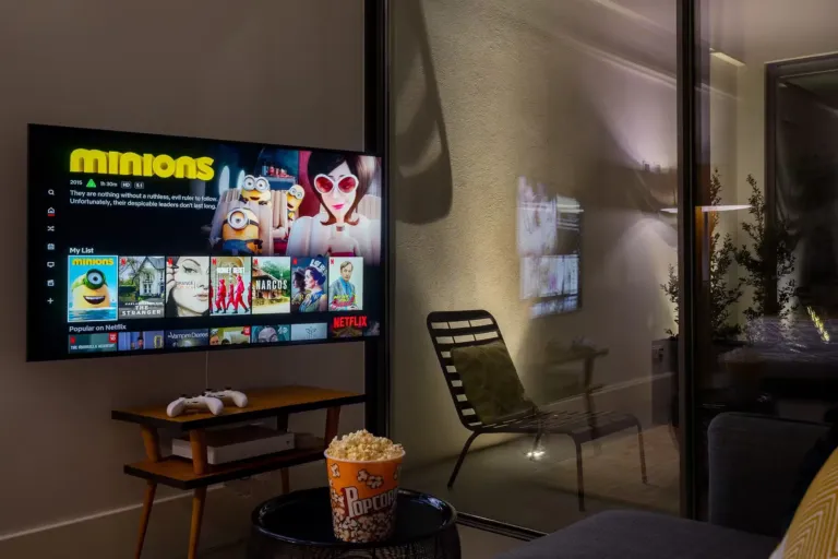 Free netflix and disney+ - we even provide Popcorn machines