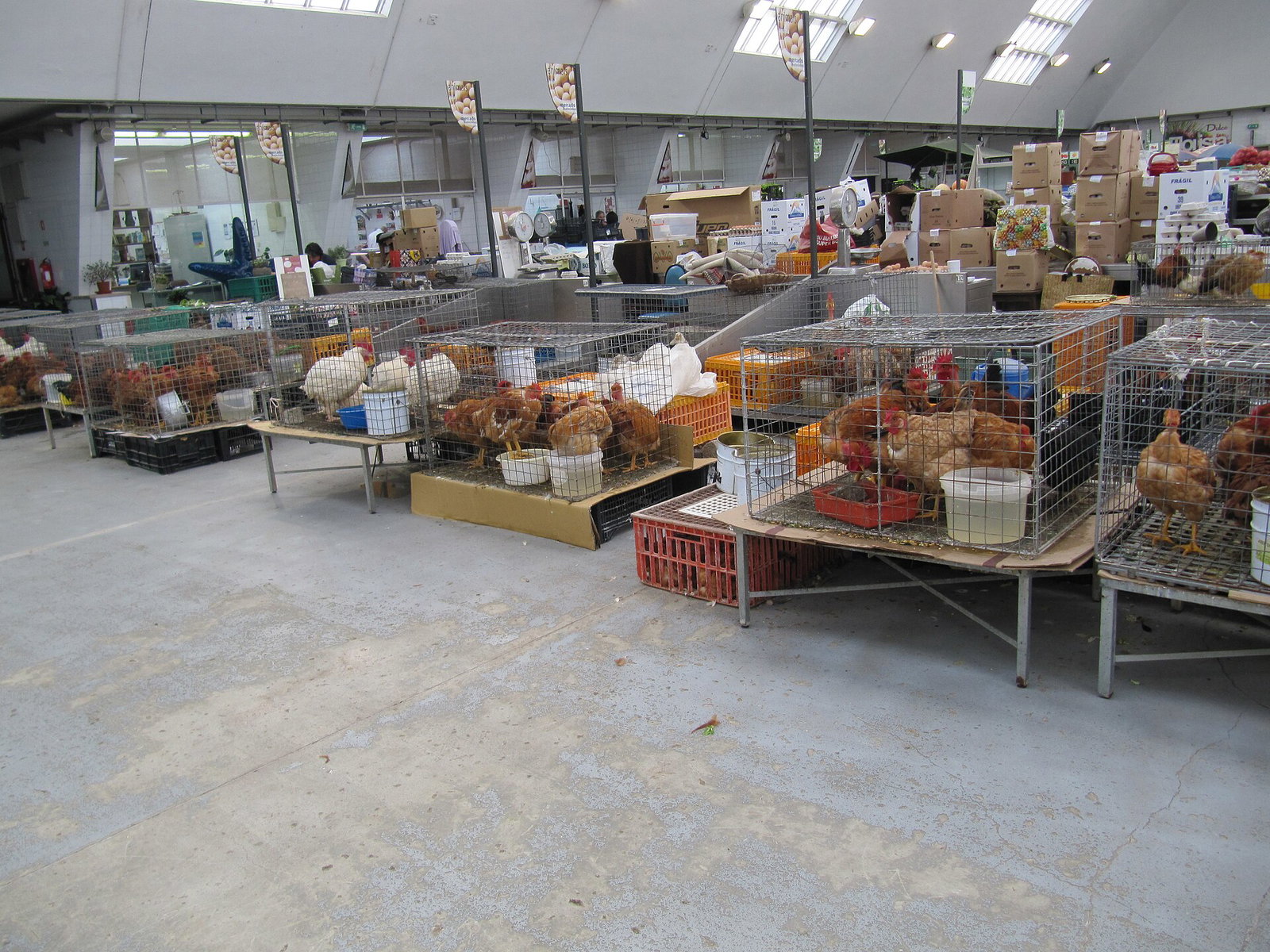 Fish stalls inside the Mercado Municipal de Matosinhos