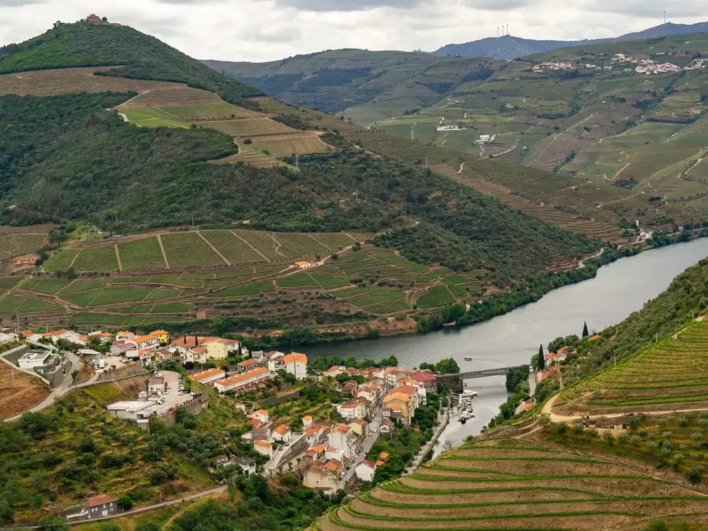 Panoramic view over the Douro river, terraced vineyards and a riverside village from a hilltop viewpoint