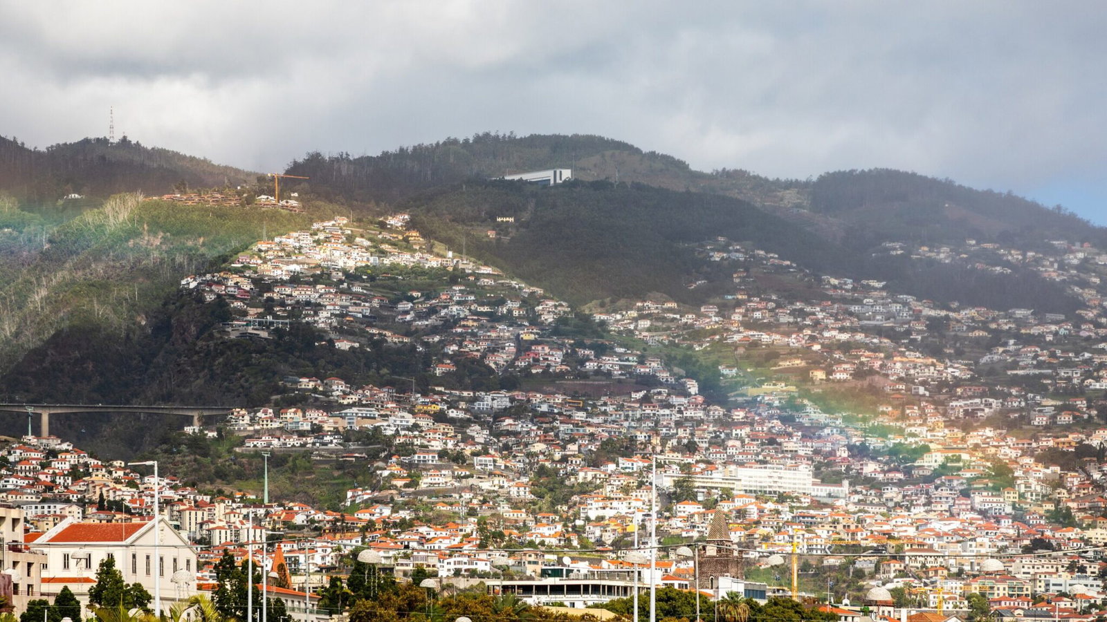 The houses of Funchal climbing the green hillside above the city in Madeira