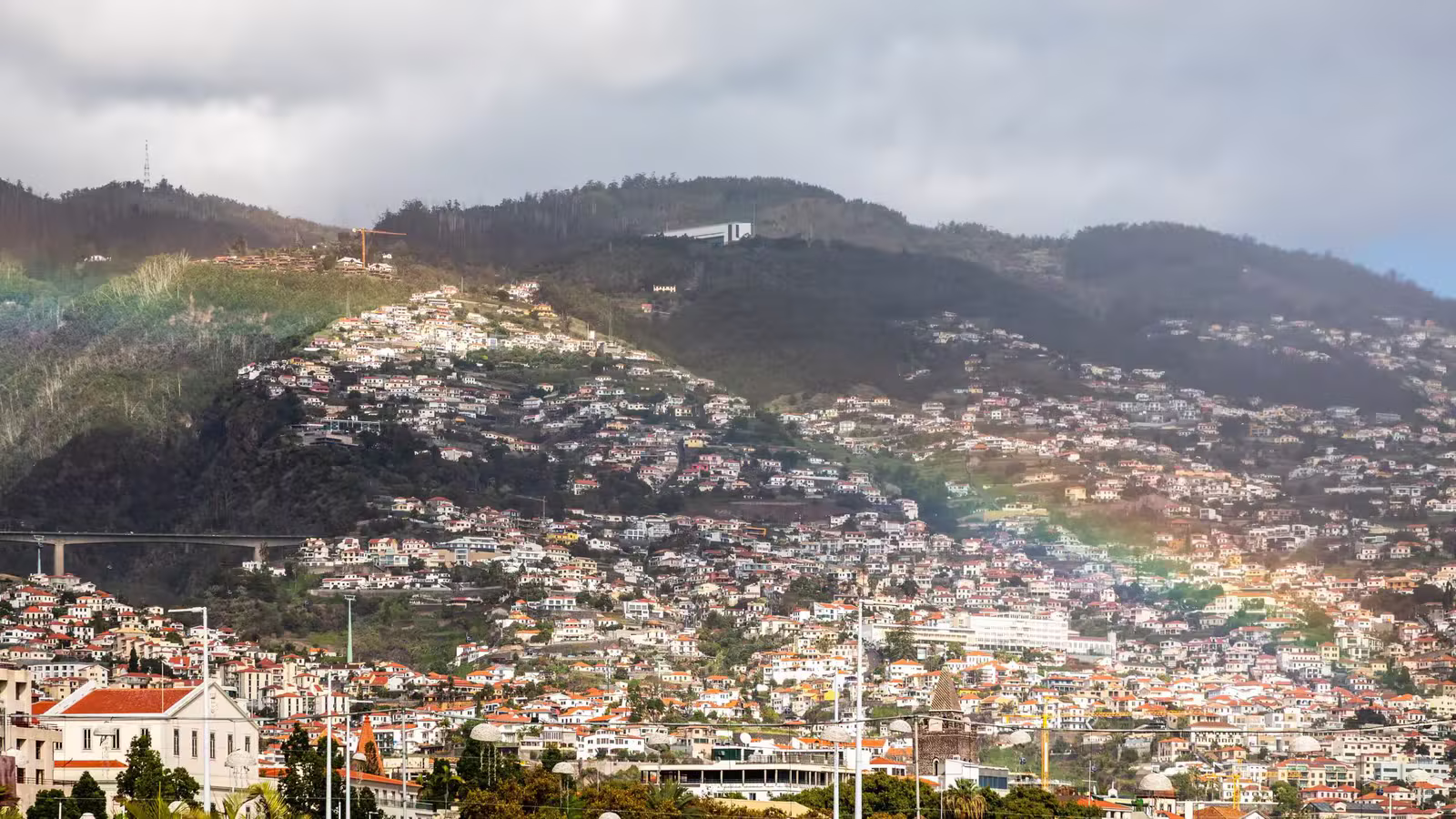 The houses of Funchal climbing the green hillside above the city in Madeira