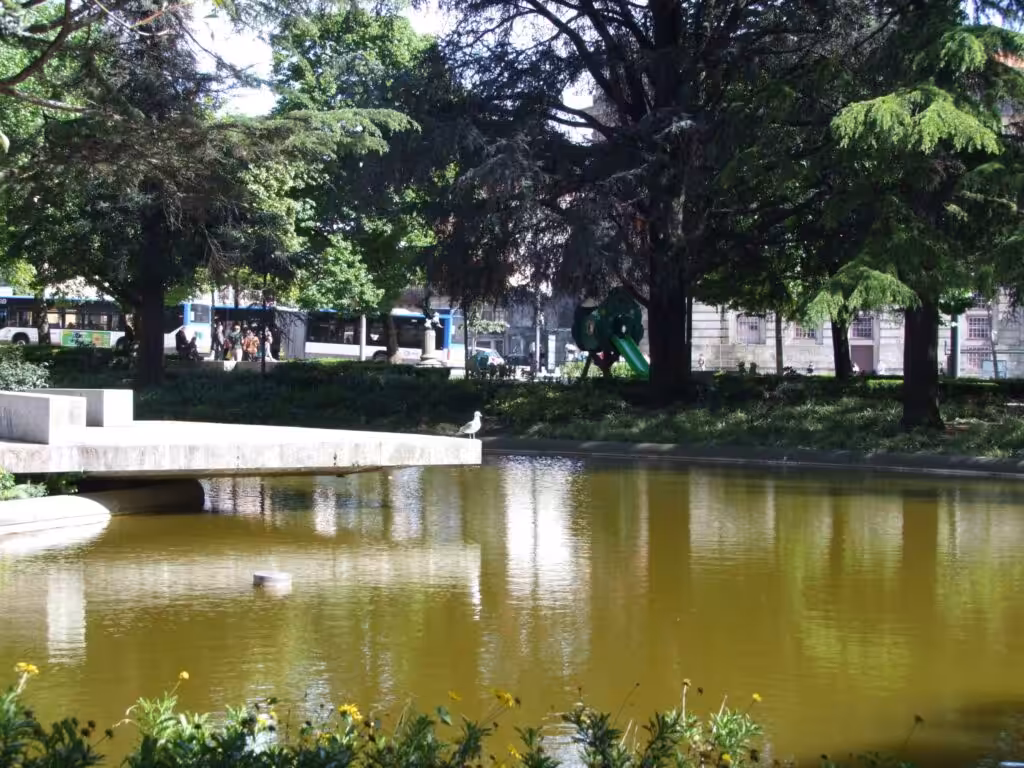The lake and trees in Jardim da Cordoaria, home of the Porto Christmas market